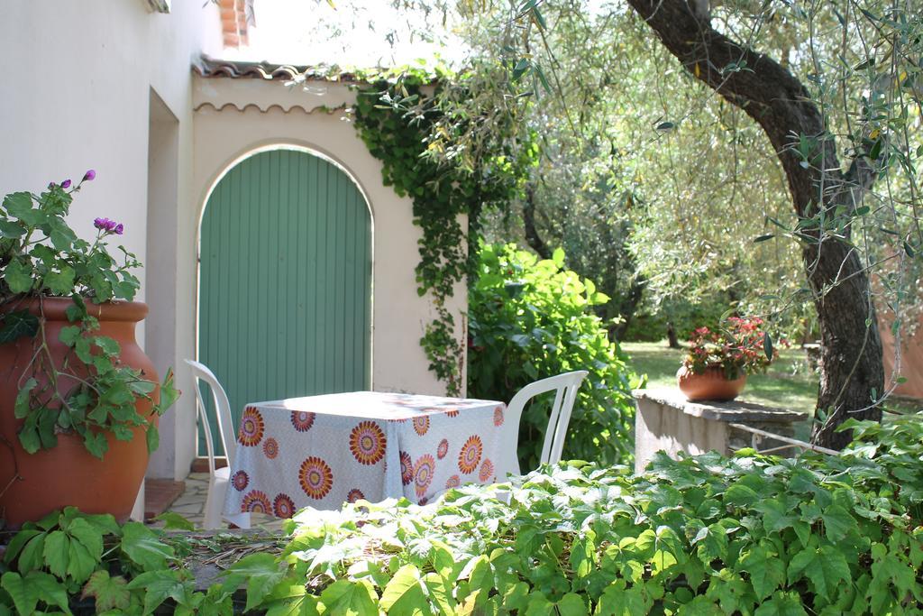 Chambres D'Hotes Le Clos Des Oliviers Sorbo-Ocagnano Екстер'єр фото